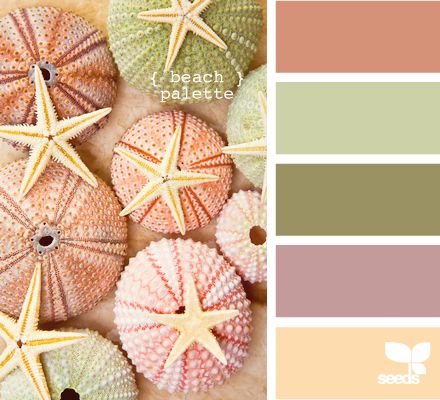 Assemble a collection of possible color palettes. When you choose the final one, take it with you when shopping for accessories and fabrics. 